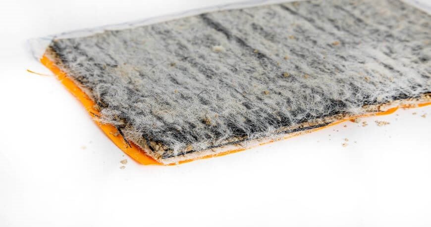 bentoshield-max-protex_870x460