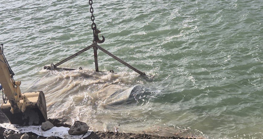 whatsapp-image-2025-07-02-at-14-12-52